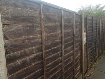 Photo of free old fence panels (aston fields B60) #1
