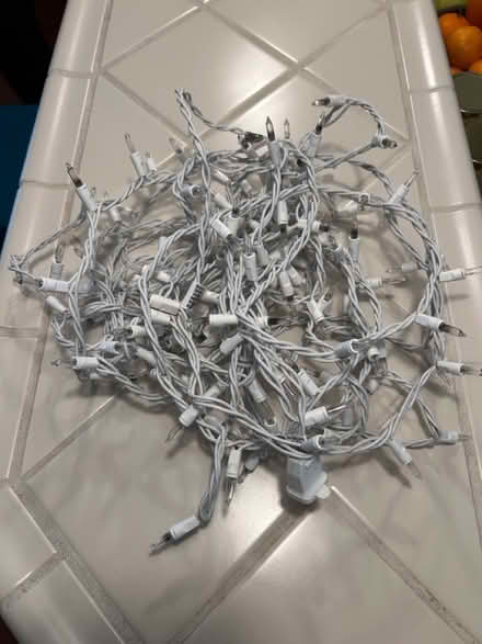 Photo of free String lights, burned out (east Petaluma) #2