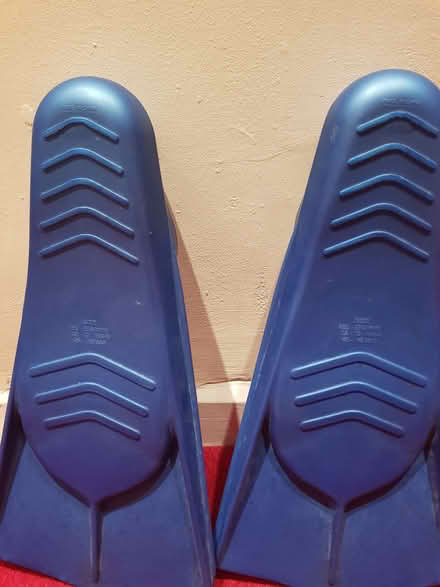 Photo of free Blue Zoggs Swimming Fins (Townsend AL3) #3
