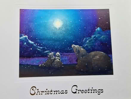 Photo of free 30 Quality Christmas Cards (Lower Place OL16) #1