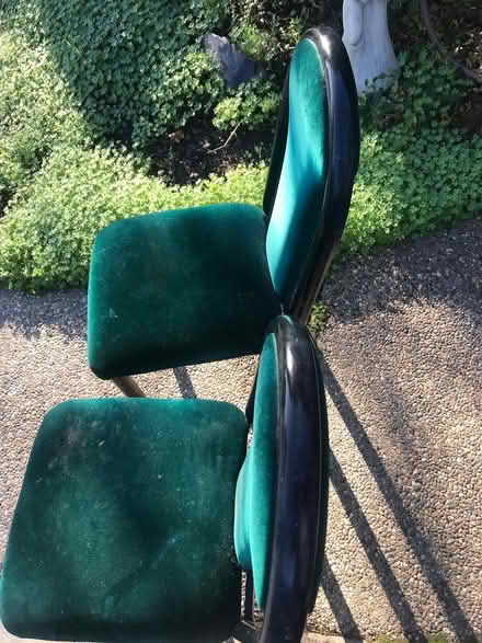 Photo of free Four free dining chairs (Sunnyvale) #2