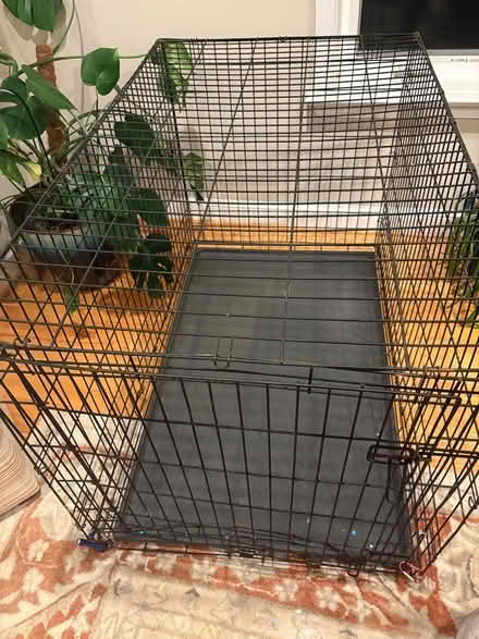 Photo of free XL dog crate (Bethesda) #1