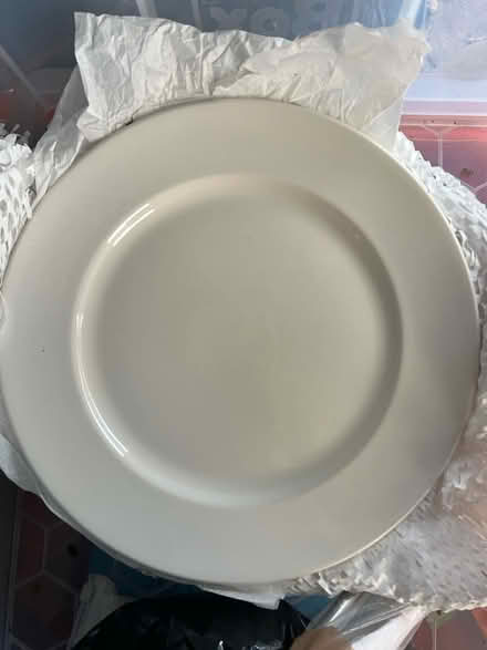 Photo of free 10 x 12” Dudson plates (Bath and within 10 miles) #1