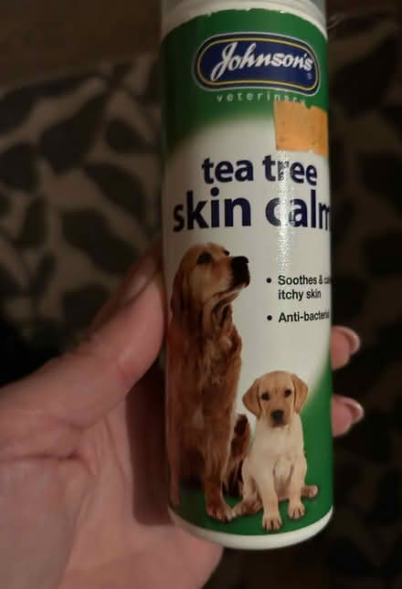 Photo of free Dog items (Boulton DE24) #1