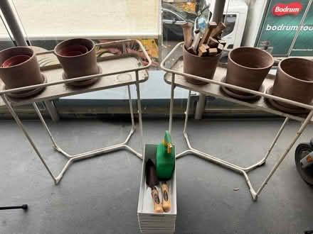 Photo of free Plant Growing Containers (SW11) #1