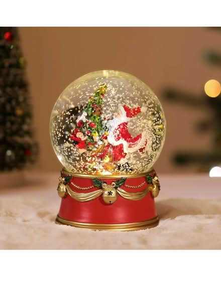 Photo of Snow Globe (Pinerow Cres Waterloo) #2