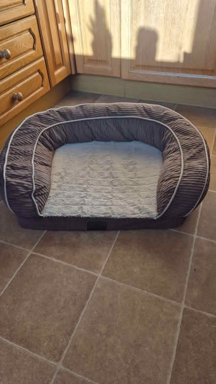 Photo of free Soft Dogs Bed (Royal Wootton Bassett SN4) #1
