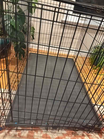 Photo of free XL dog crate (Bethesda) #3