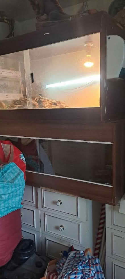 Photo of free Vivarium (Churchdown) #1