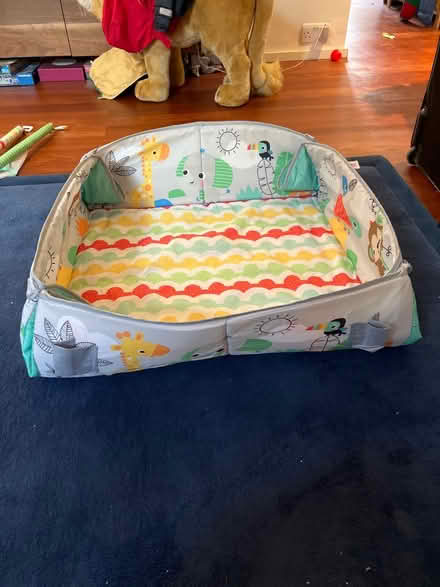 Photo of free Bright Starts baby mat (Dartmouth Park NW5) #3