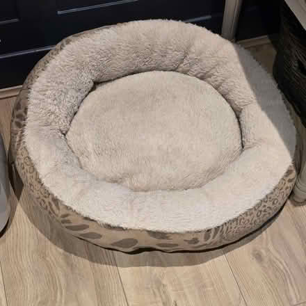 Photo of free Cat bed (Greenwich Peninsula SE10) #1