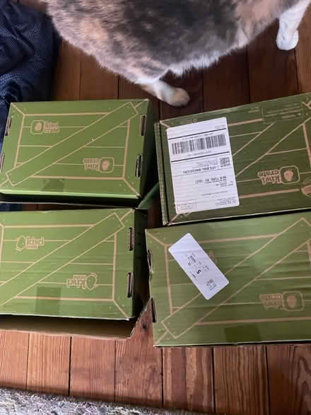 Photo of free Kiwi kids project boxes (69th Ave btw 60th Ln & 60th st) #2