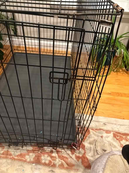 Photo of free XL dog crate (Bethesda) #2