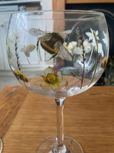 Photo of free Two decorated gin glasses from Ginology (Benhilton SM1) #3