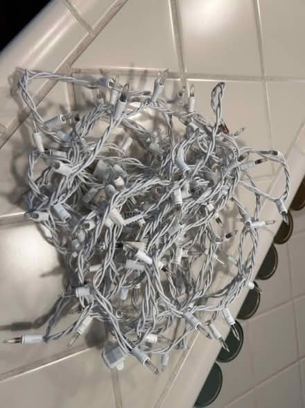 Photo of free String lights, burned out (east Petaluma) #1