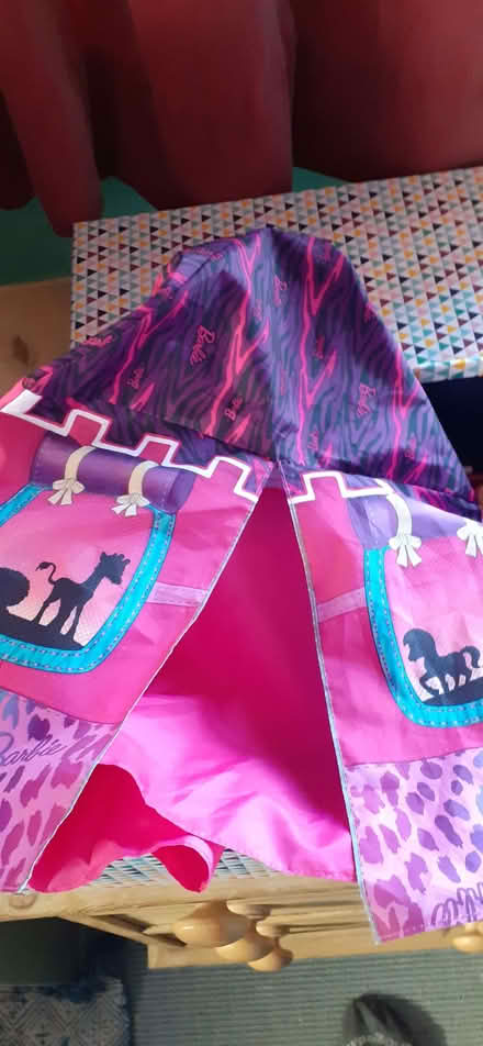 Photo of free Barbie camping set (Kennington OX1) #3