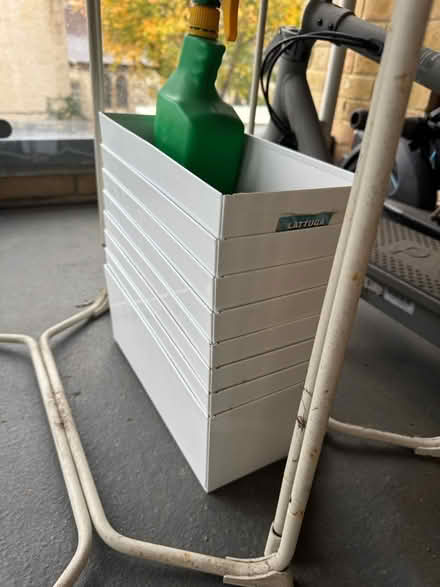 Photo of free Plant Growing Containers (SW11) #2