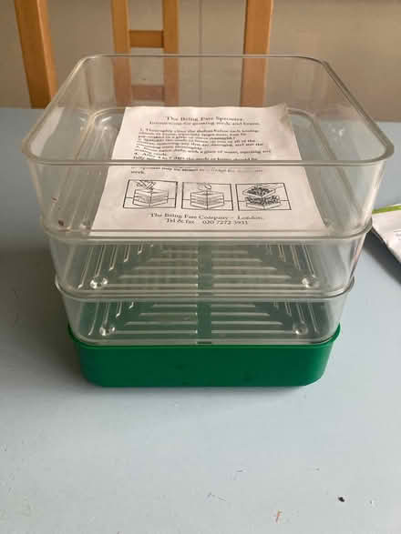 Photo of free Sprouter (Loughton IG10) #1