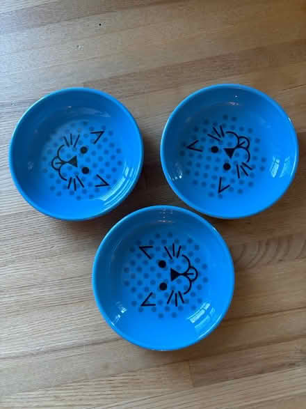 Photo of free Cat Bowls (South End) #1