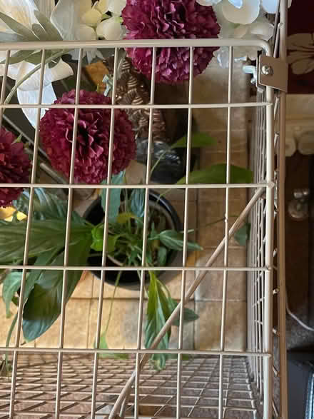 Photo of free Fireguard (Fleetville AL4) #2