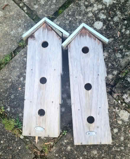 Photo of free Sparrow dormitory bird boxes (Purbrook) #1
