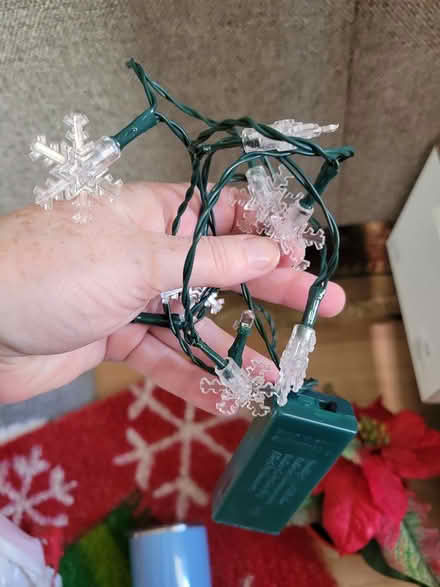 Photo of free Xmas stuff (20011) #3