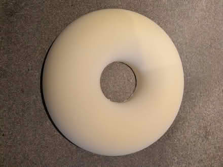 Photo of free Donut cushion (SL6 Maidenhead) #2