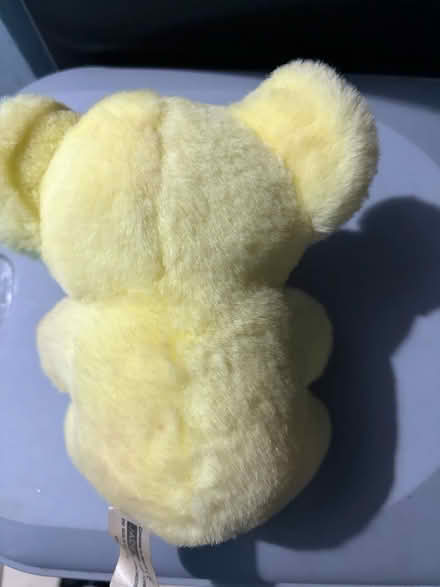 Photo of free Cuddly toy (Westbury Wilts BA13) #2