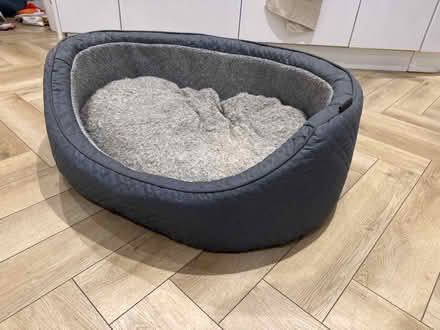 Photo of free Wainwrights dog bed (Alderley Edge SK9) #1