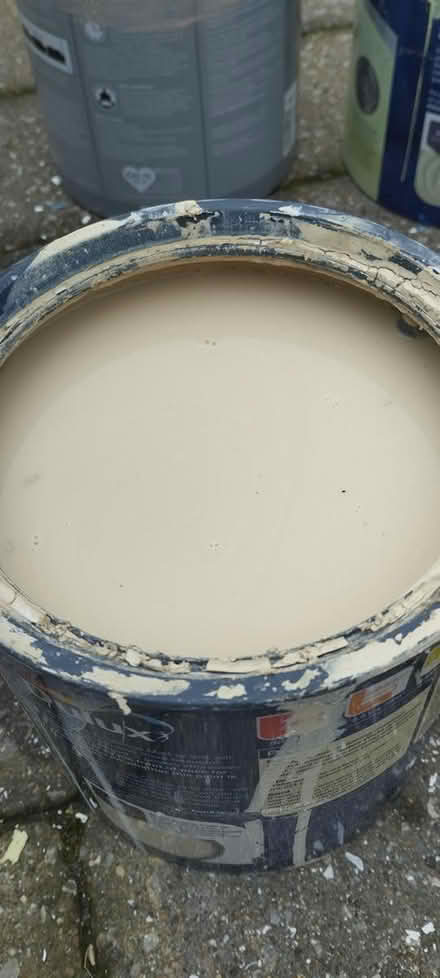 Photo of free Paint, Ivory Matt finish (Morpeth NE61) #1