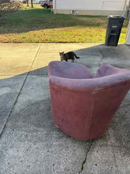 Photo of free Sectional (20774) #1