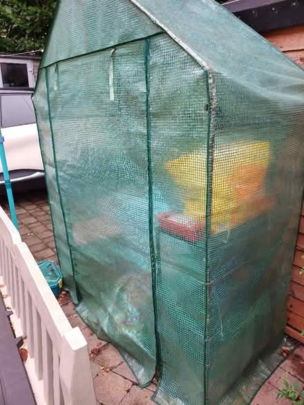Photo of free Walk In Greenhouse (Bruntsfield EH10) #2