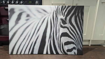 Photo of free Zebra large canvas print (Bagshot GU19) #1