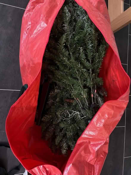 Photo of free Xmas tree (6 foot) (WA4) #1