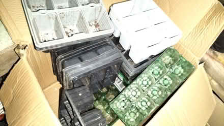 Photo of free Flower pots and seed trays. (Edgiock B96) #1