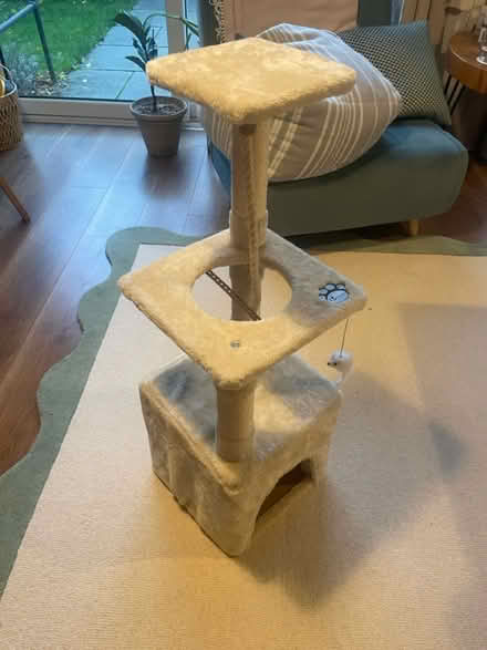 Photo of free Cat tree (Balham, SW12) #2