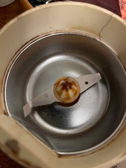 Photo of free Electric grinder for coffee beans/spices (St Leonards TN38) #3