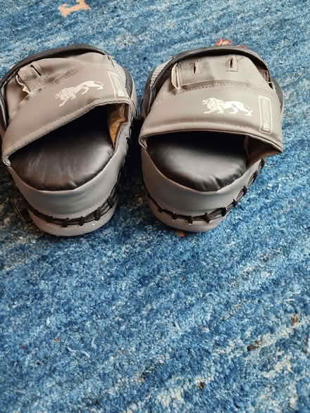 Photo of free Boxing pads (How Wood AL2) #2