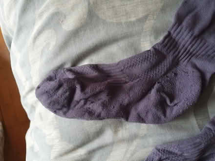 Photo of free Child's rugby socks (Heysham) #2