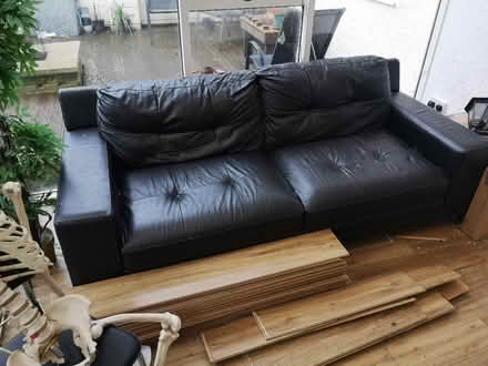 Photo of free Couch (Mold) #2
