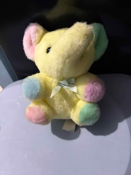 Photo of free Cuddly toy (Westbury Wilts BA13) #1