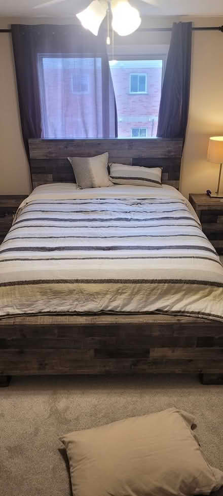 Photo of free Queen Comforter with throw pillow (Pinerow Cres Waterloo) #1