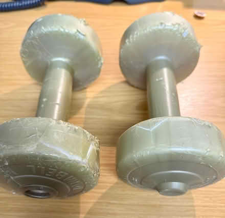 Photo of free Pair of Weights (M33) #1
