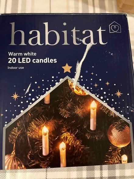 Photo of free Small Christmas Tree with Lights (Ravenscourt Park W6) #2