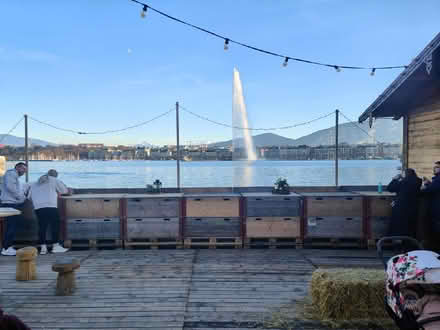 Photo of free Walk In Greenhouse (Bruntsfield EH10) #1