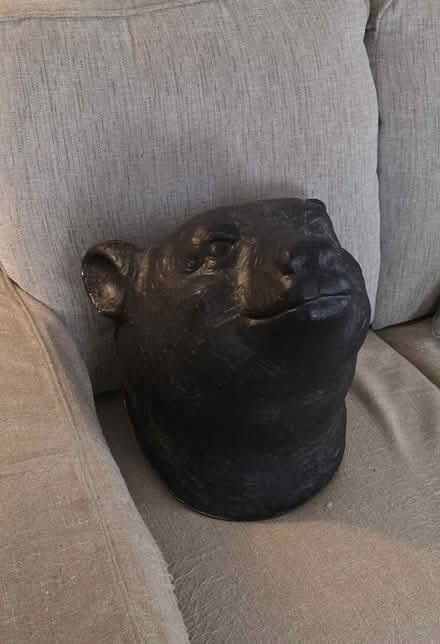 Photo of free Bear head (Stoneham) #1
