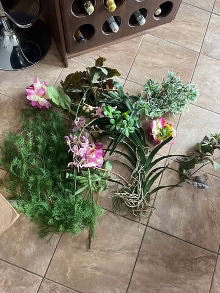 Photo of free Decorative plastic flowers (Baseline & Merivale) #1