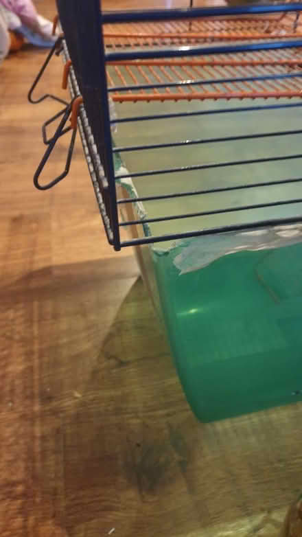Photo of free Gerbil /small rodent cage (TW7) #4