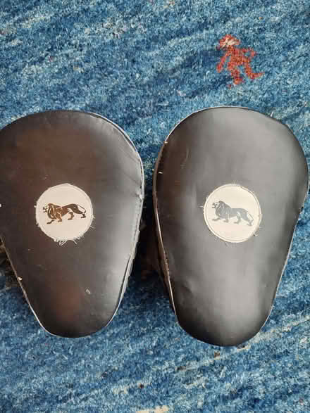 Photo of free Boxing pads (How Wood AL2) #3
