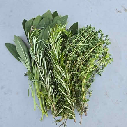 Photo of free Organic Herbs (Chiquita Av MtnVw) #1